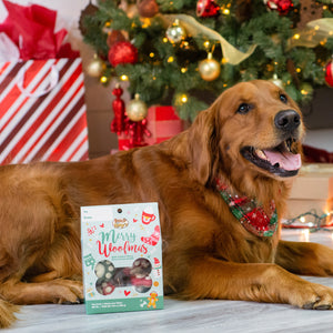 Prepackaged Small Paws 8pk | Holiday 2024