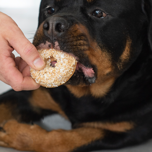 Donut Disturb: Caffeine Loading | Café