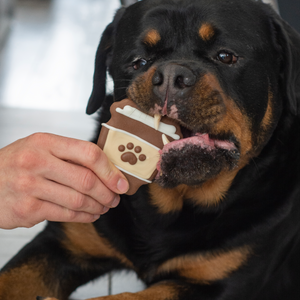 Pawsome Pink Smoothie & Barkuccino | Café