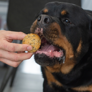 Muffin' Like A Good Cup of Joe | Café