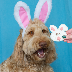 Ear-resistable Bunnies | Easter