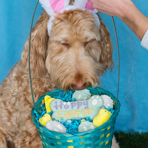 Hoppy Easter 6 Inch Bone | Easter