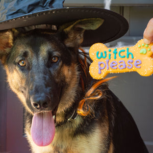 Witch Please 6 Inch Bone | Halloween