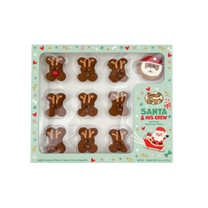 Prepackaged Santa and Reindeer | Holiday 2024