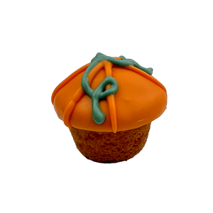 pumpkin pupcake for dogs