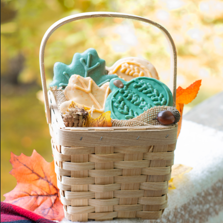 fall gift baskets for dogs