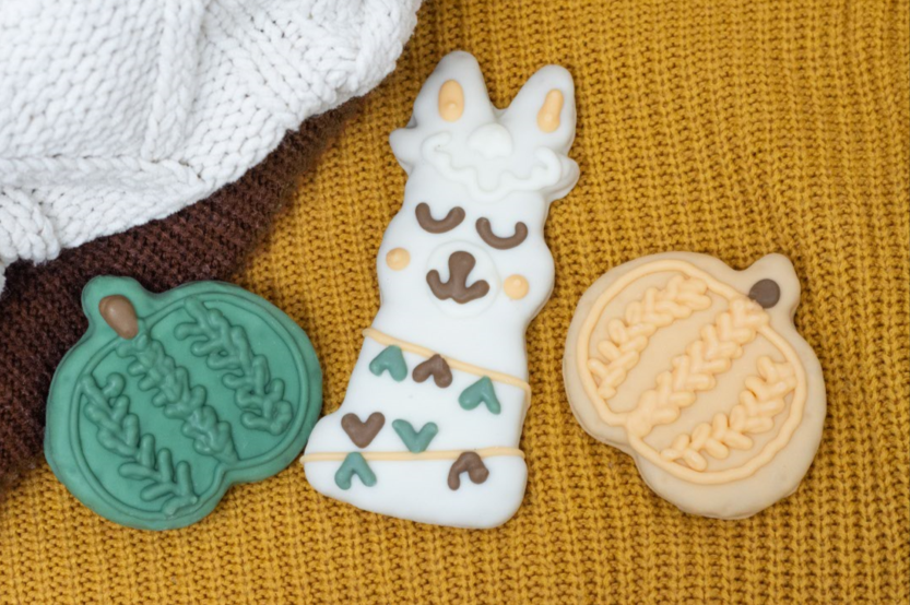 knit pumpkin cookies for dogs