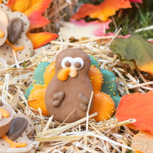 3D turkey cookie for dogs