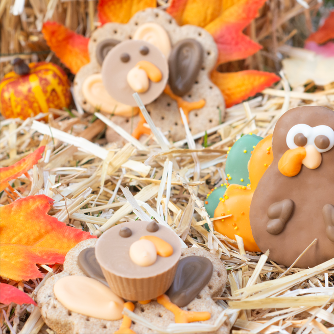 fall turkey cookies for dogs