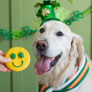 Happy Clover Face | St. Paddy's Day