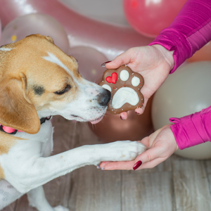 Love Paws | Valentine's Day