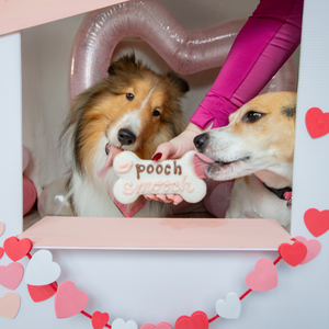 Smooch ur Pooch | Valentine's Day